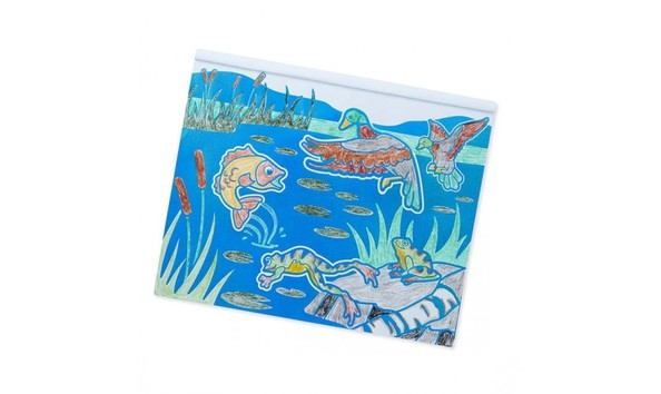 Big image animals pond