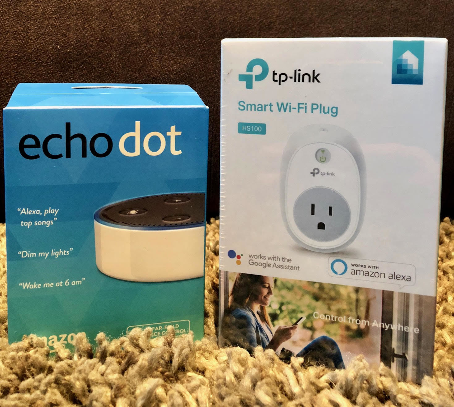 Amazon Echo Dot & Smart Wifi Plug