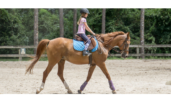 Big image casperey ring