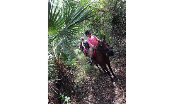 Big image barn dayz 1