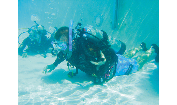 Big image diving bottom