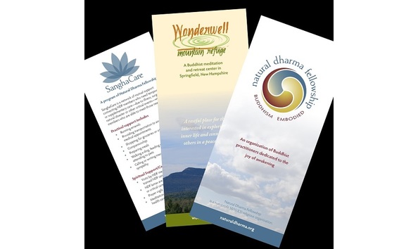 Big image auction graphic for bas