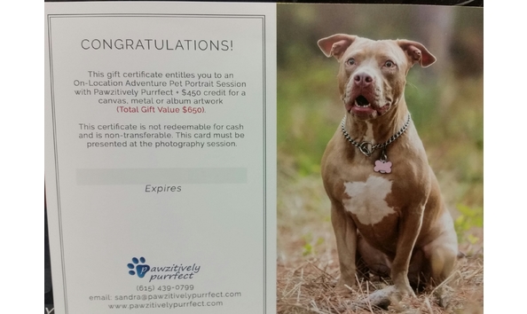 Big image paws purrfect