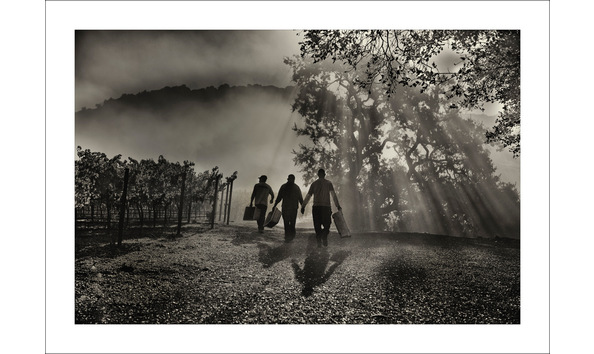 Big image day s end 8232 1  bronk 28 x 39.9