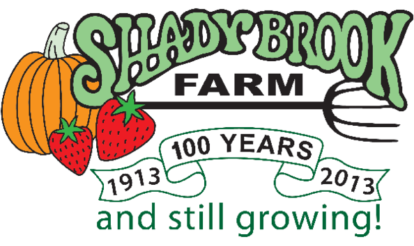 Big image mini magick20180508 66466 1rackml