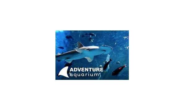 Big image mini magick20180508 66466 1vfja52