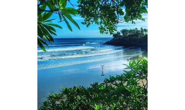 Big image lasfloresfb3