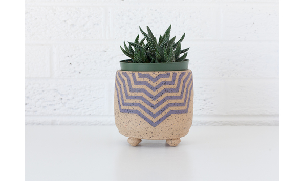 Big image ccss planters web 6125