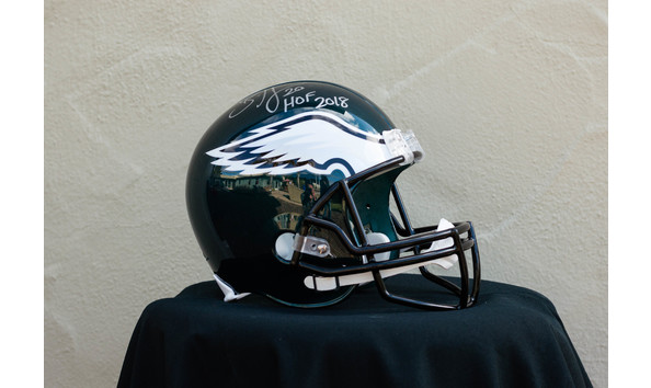 Big image brian dawkins