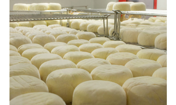 Big image cowgirl creamery point reyes   racks of cheese resting