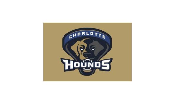 Big image charlotte hounds
