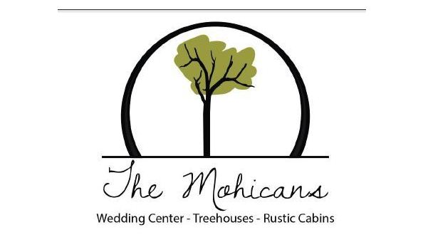 Big image themohicans logo