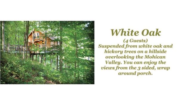 Big image whiteoakpic