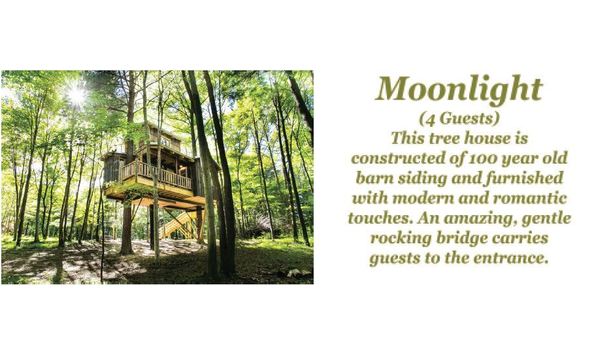 Big image moonlightpic