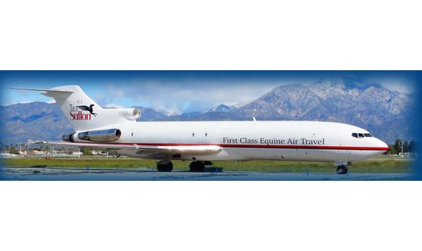 Big image sutton equine air travel