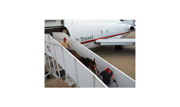 Big image about ramps 02