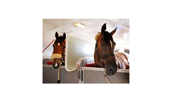 Big image about stalls 02