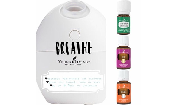 Big image ef40b0e7 ec84 441b b324 a0722e91b46f