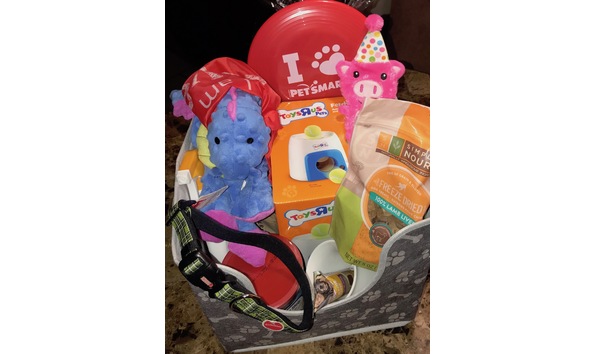 Big image dog basket copy