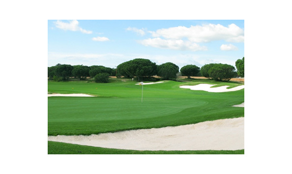 Big image golf club of dublin