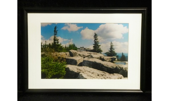 Big image  dolly sods bear rocks  by laura moul edit