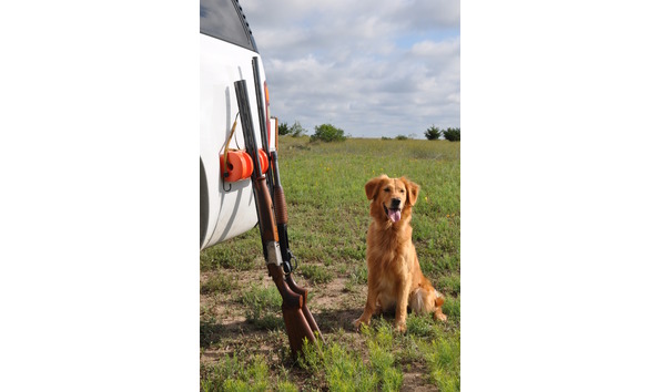 Big image gun roll 1