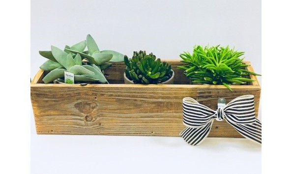 Big image planter box