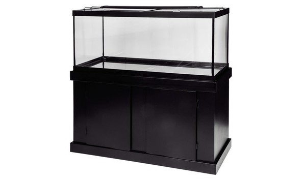 Big image aquarium 2