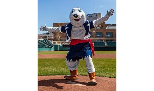 Big image louseal