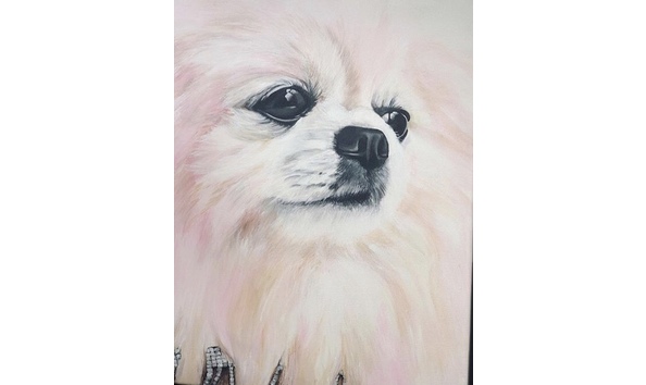 Big image petportrait