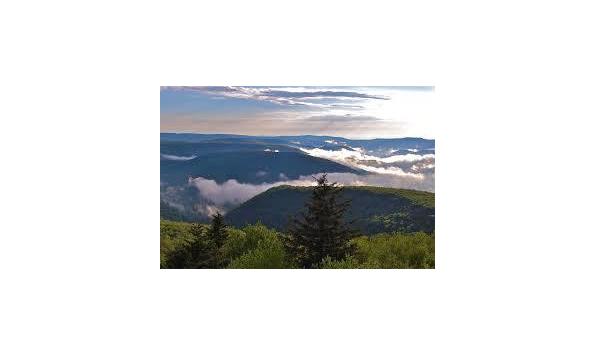 Big image snowshoe summer