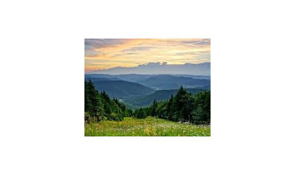 Big image snowshoe summer2