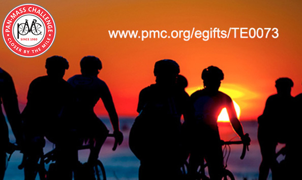 Organization Main Image