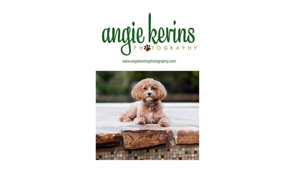 Big image angie kerins 3