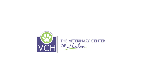 Big image vch logo1