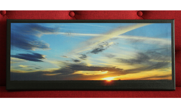 Big image keithkitten 1