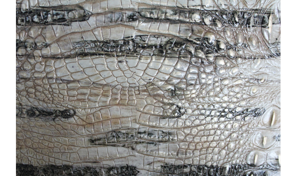 Big image dillard s 3