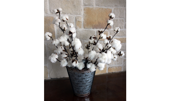 Big image homesteadcottonco