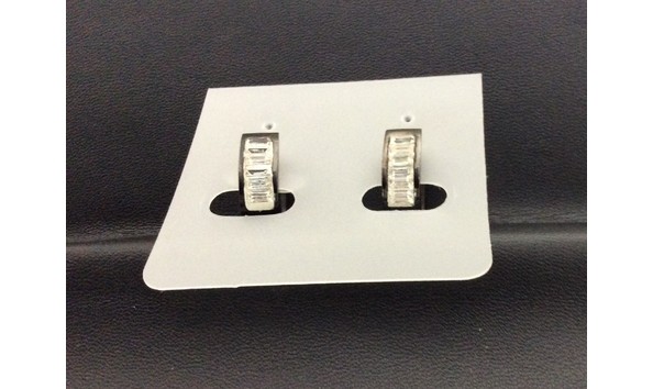 Big image crystal earrings