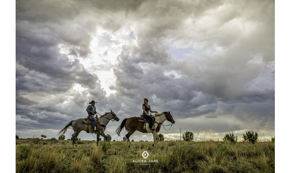 Big image alicea jare email 1