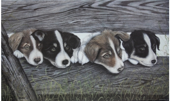 Big image alex haliburton  1