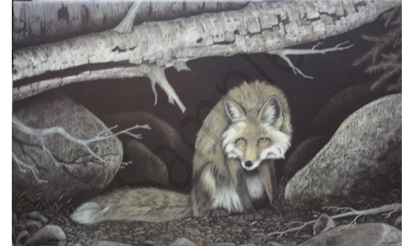 Big image alex haliburton  2