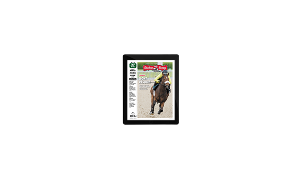 Daily Racing Form 240 Formulator Racing Card Past Performances