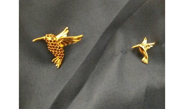 Big image hummingbirds