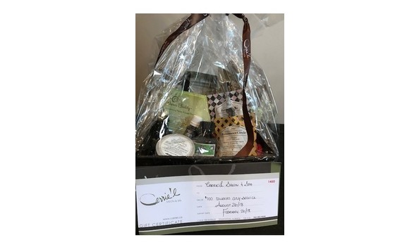 Big image carriel basket2