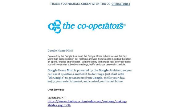 Big image google home mini