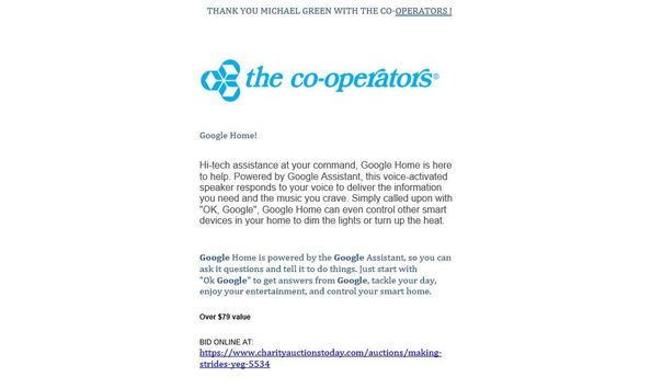 Big image google home