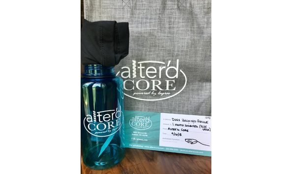 Big image alteredcore