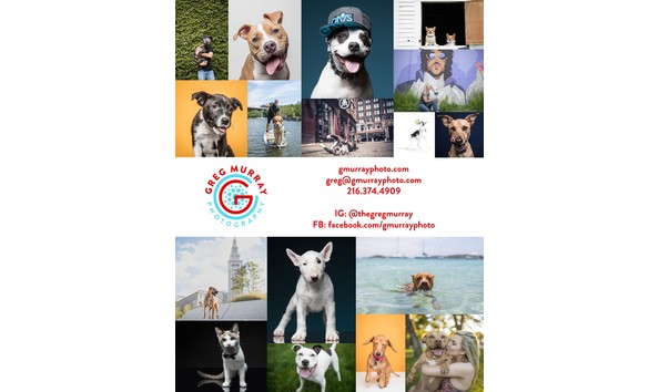 Big image gregmurray1