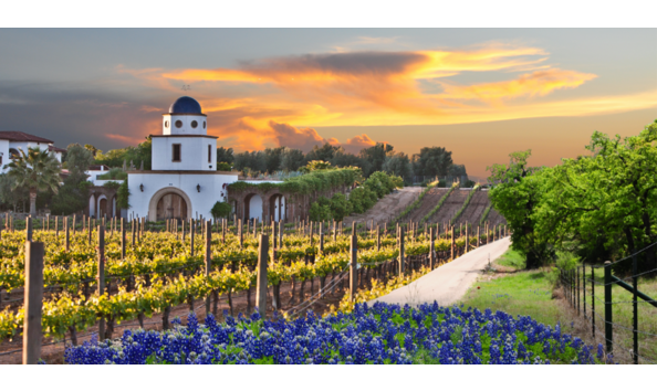 Big image flowers1000 d 848h